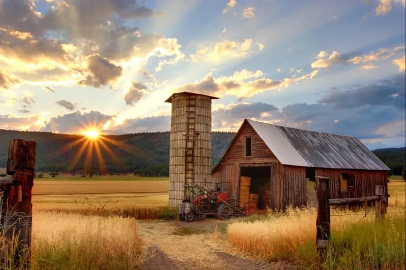 Agricultural Land